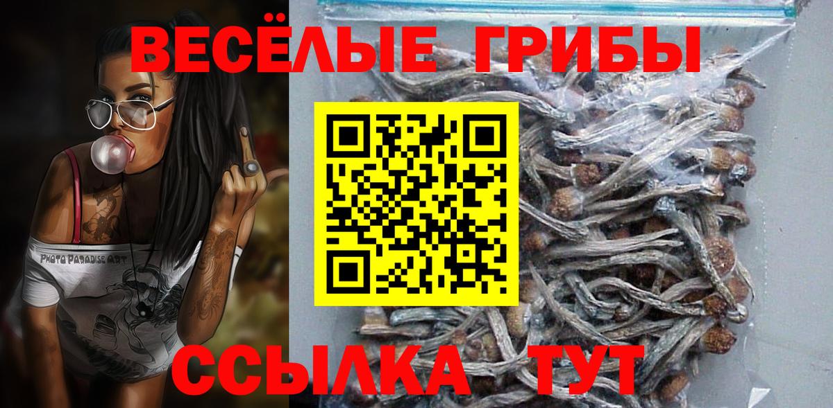 Галлюциногенные грибы Magic Shrooms Балашов