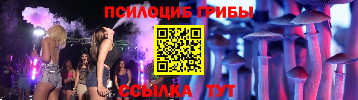 Балашов  Галлюциногенные грибы Psilocybine cubensis  наркота  Вход с VPN 